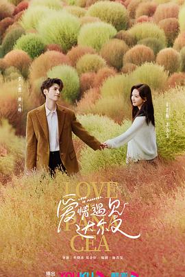 微山互联网seo优化